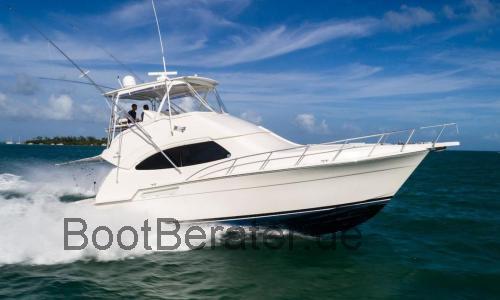 Bertram 450 Convertible  technische daten 